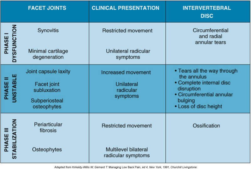 Phases of Spinal Rehab.jpg